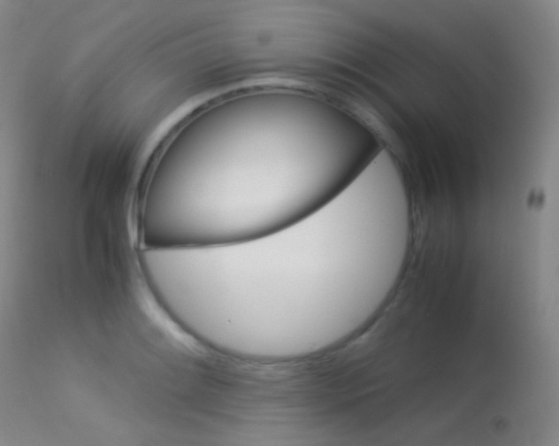 X0000113621084200909181110