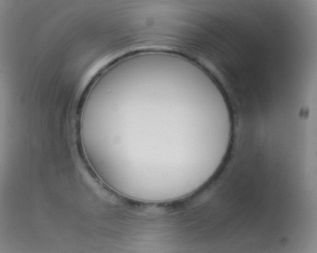 X0000113621085200909181110