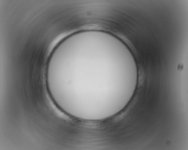 X0000113621086200909181110