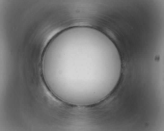 X0000113621087200909181110
