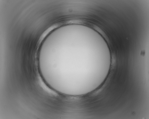 X0000113621090200909181110