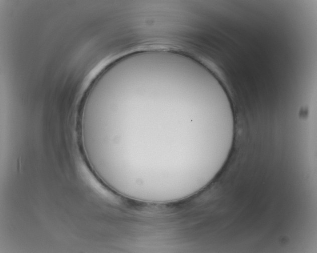 X0000113621091200909181110