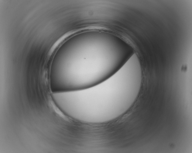 X0000113621092200909181110