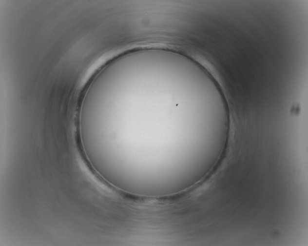 X0000113621093200909181110