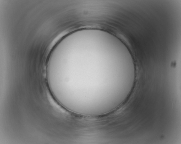 X0000113621095200909181110
