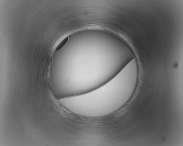 X0000113621097200909181110