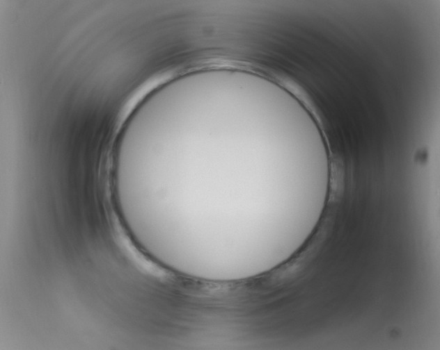 X0000113621098200909181110