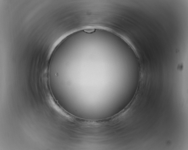X0000113621100200909181110