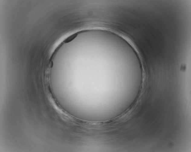 X0000113621101200909181110