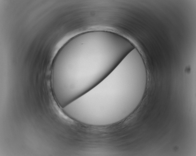 X0000113621102200909181110