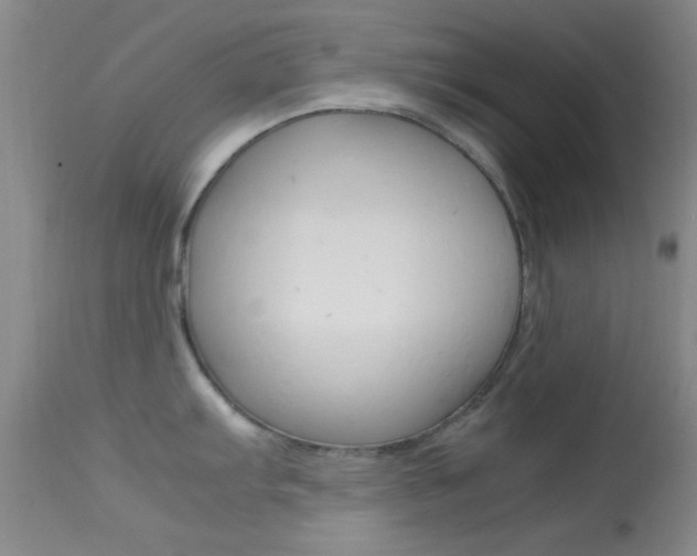 X0000113621103200909181110