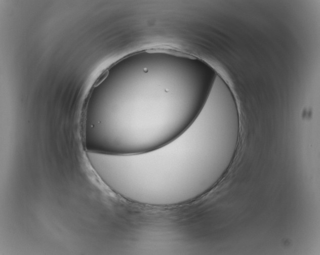 X0000113621104200909181110