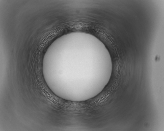 X0000113621105200909181109