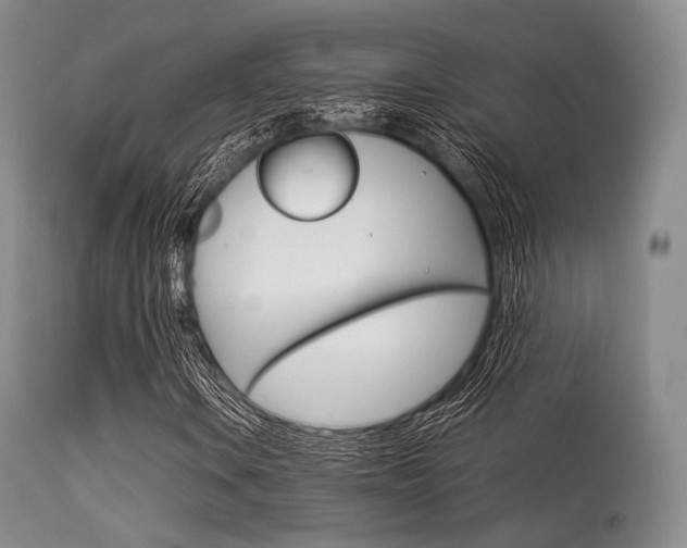 X0000113621106200909181109