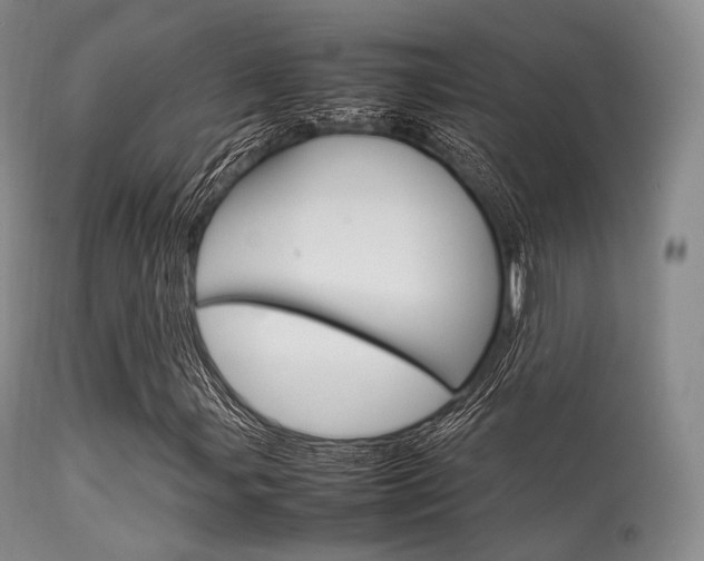 X0000113621107200909181109