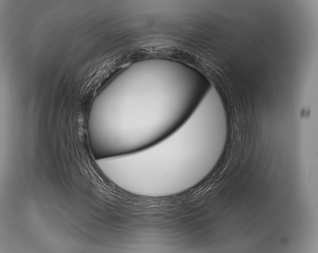 X0000113621108200909181109
