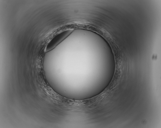 X0000113621110200909181109