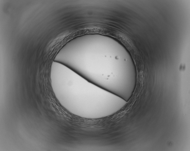 X0000113621111200909181109