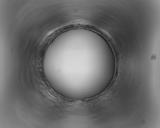 X0000113621112200909181109