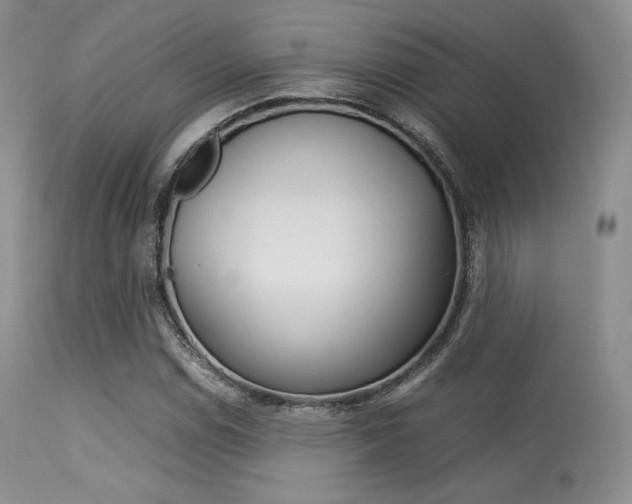 X0000113621114200909181109