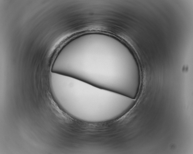 X0000113621115200909181109