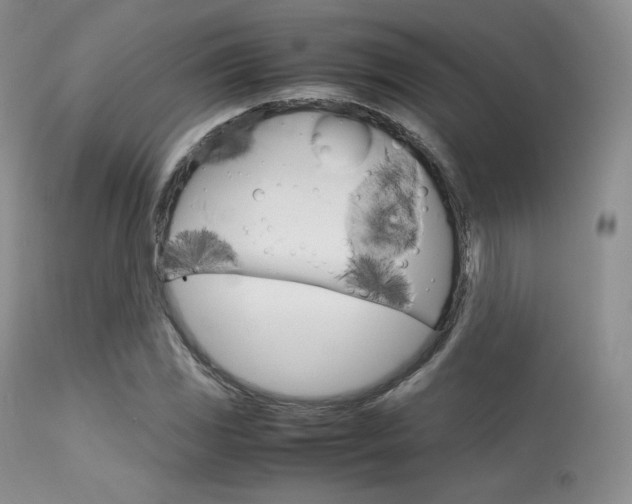 X0000113621117200909181109
