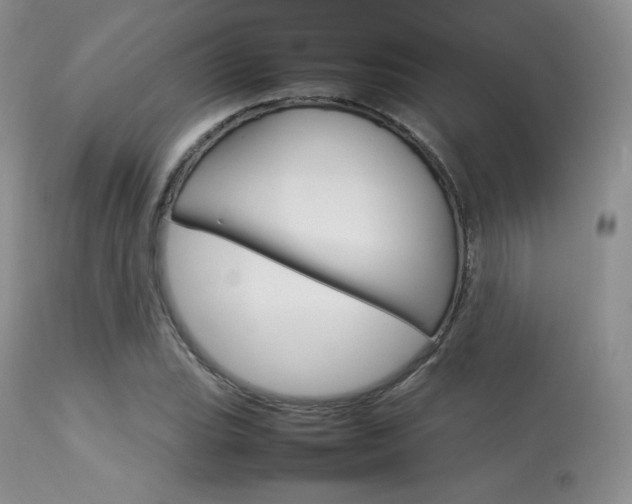 X0000113621119200909181109