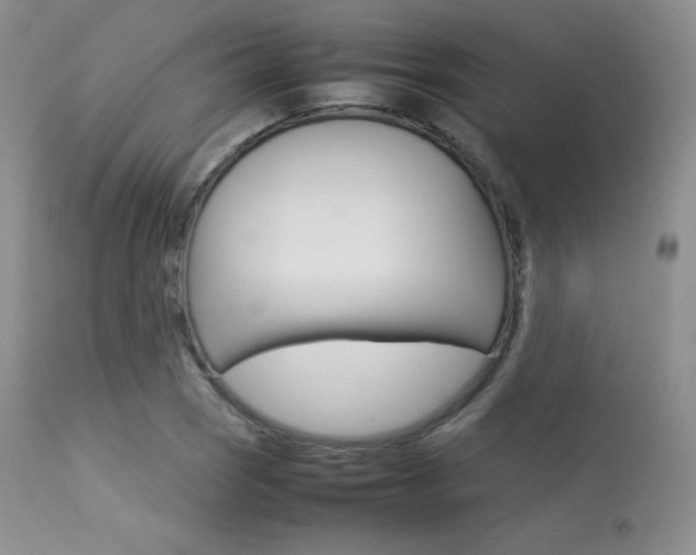 X0000113621121200909181109