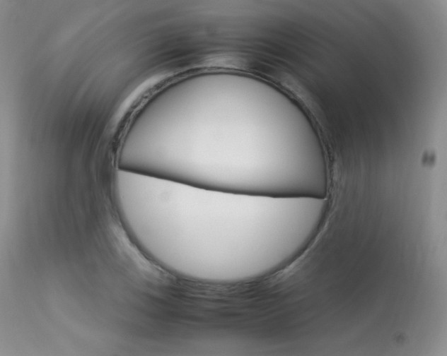 X0000113621123200909181109