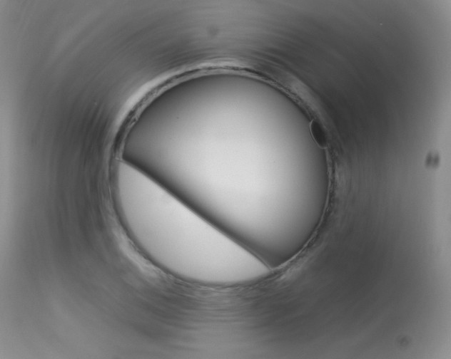 X0000113621124200909181109