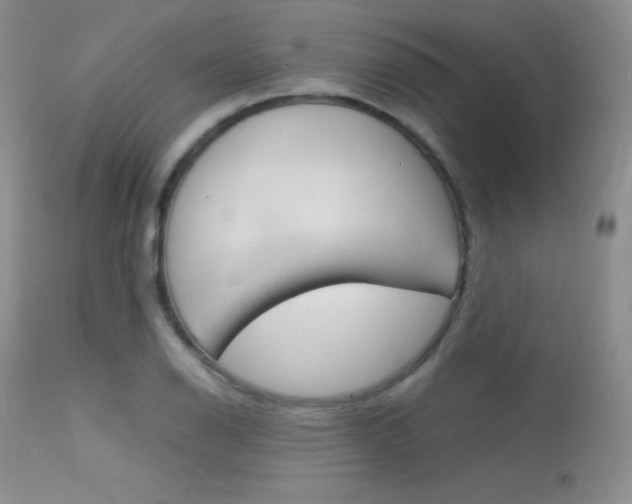 X0000113621126200909181109