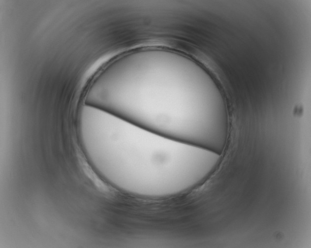 X0000113621127200909181109