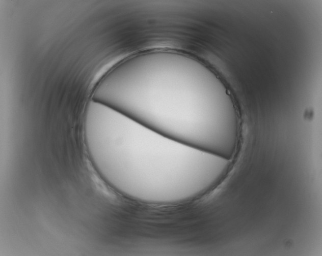 X0000113621129200909181109