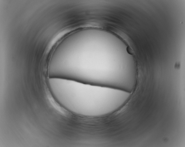 X0000113621131200909181109
