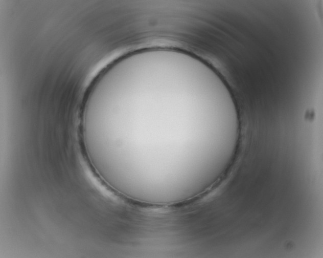 X0000113621134200909181109