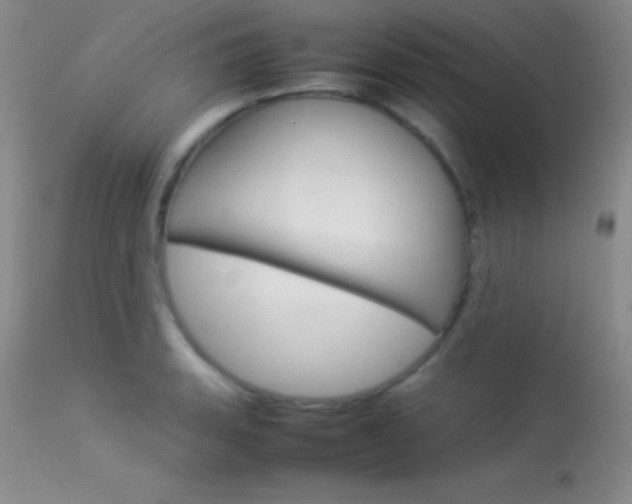 X0000113621135200909181109