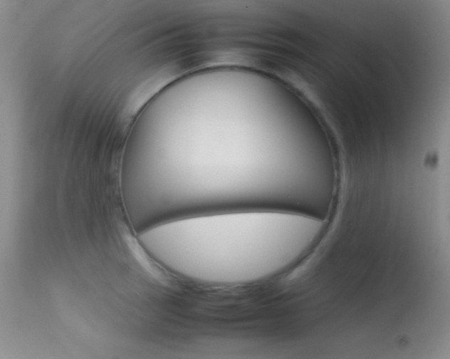 X0000113621137200909181109