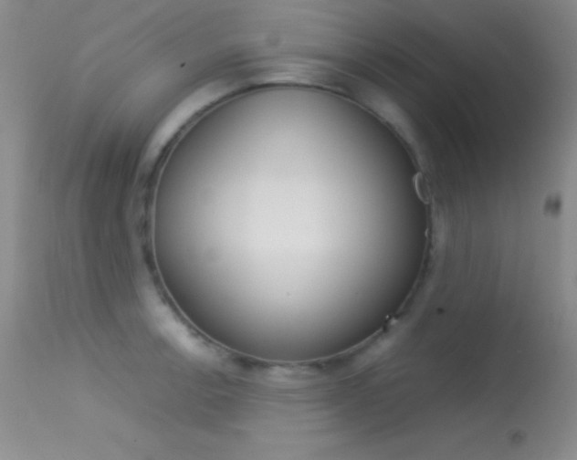 X0000113621138200909181109