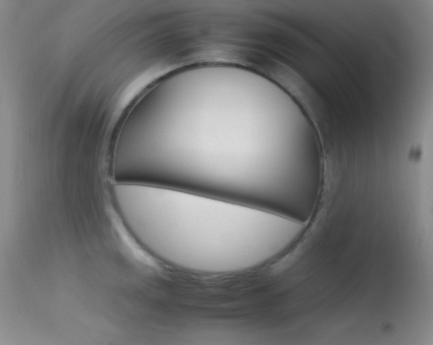 X0000113621141200909181110