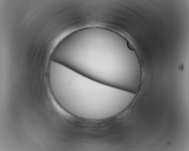 X0000113621143200909181110