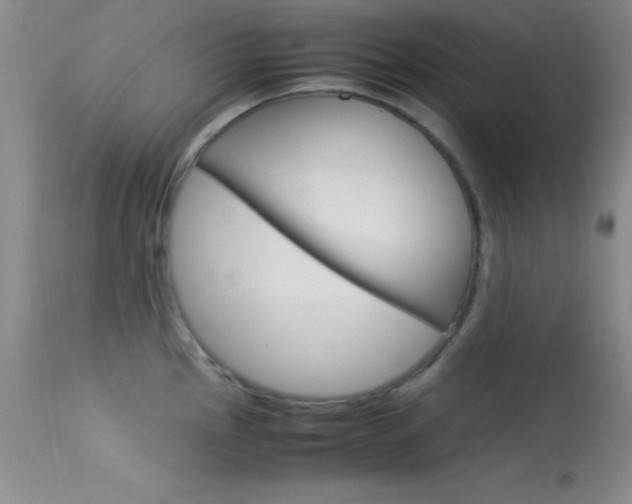 X0000113621145200909181110