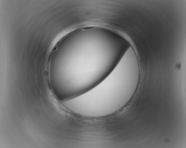 X0000113621146200909181110