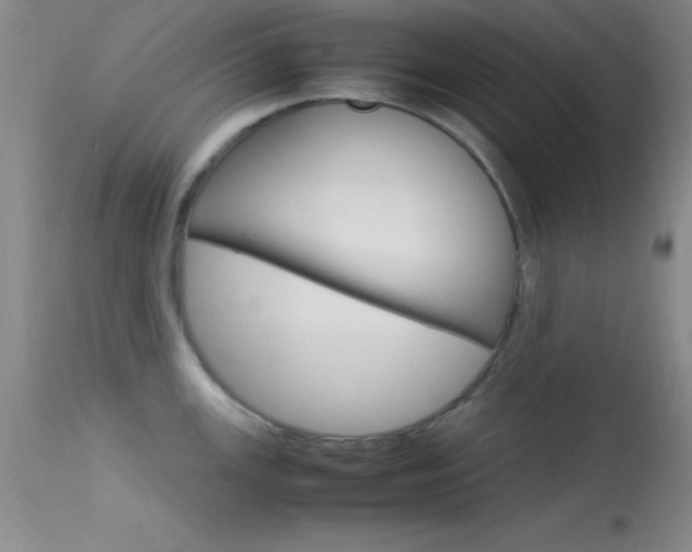 X0000113621147200909181110