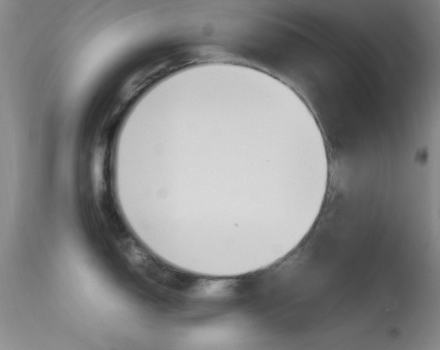 X0000113621150200909181110