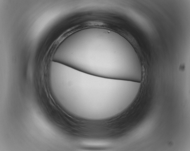 X0000113621151200909181110