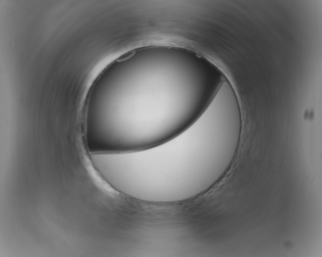 X0000113621152200909181110