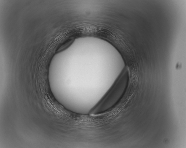 X0000113621153200909181109