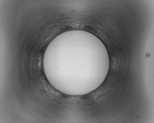 X0000113621154200909181109