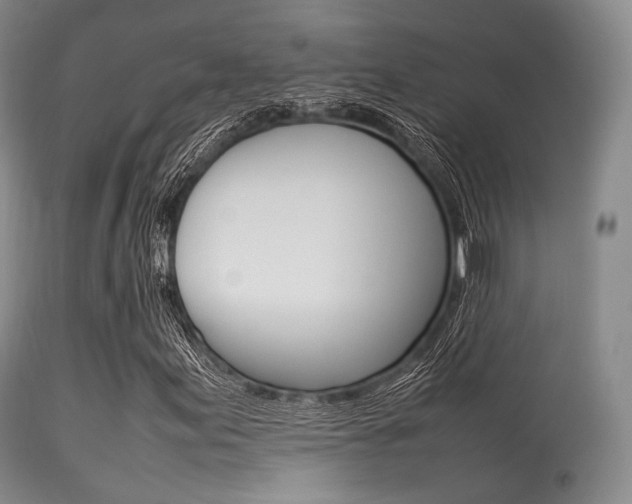 X0000113621155200909181109