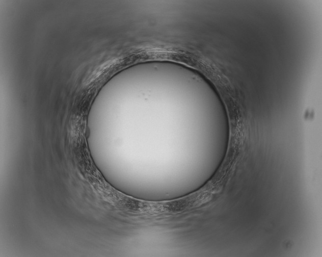 X0000113621157200909181109